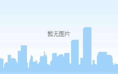 树袋熊的价格